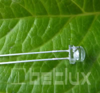 5mm bullet LED diode