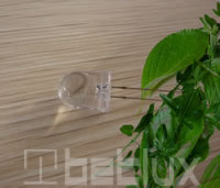 8mm Bi-color LED diode, 2 pin
