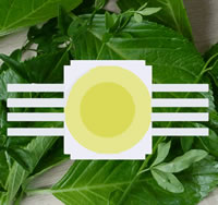5 watt LED | high power LED