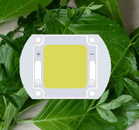 100 watt LED | high power LED