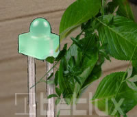 1804 LED diode